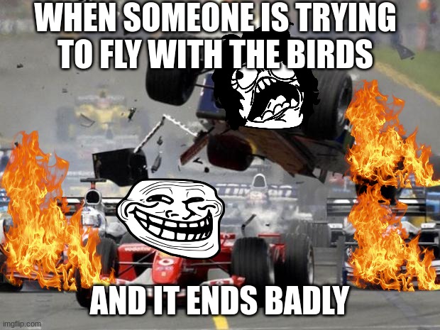 F1 crash | WHEN SOMEONE IS TRYING TO FLY WITH THE BIRDS; AND IT ENDS BADLY | image tagged in f1 crash | made w/ Imgflip meme maker