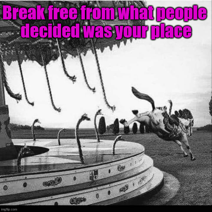 Break free from what people 
decided was your place | made w/ Imgflip meme maker