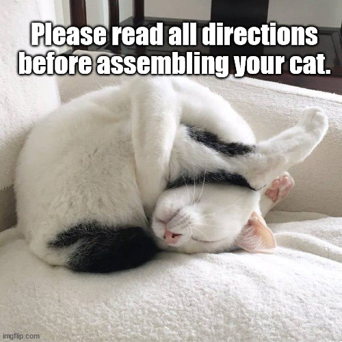 assembling your cat | Please read all directions before assembling your cat. | image tagged in cat | made w/ Imgflip meme maker