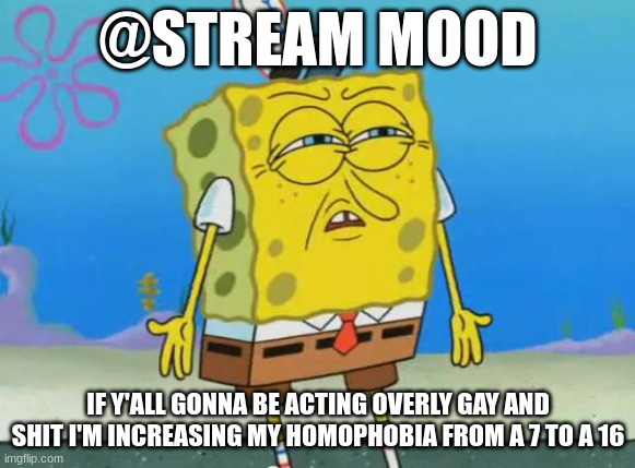 Angry Spongebob | @STREAM MOOD; IF Y'ALL GONNA BE ACTING OVERLY GAY AND SHIT I'M INCREASING MY HOMOPHOBIA FROM A 7 TO A 16 | image tagged in angry spongebob | made w/ Imgflip meme maker