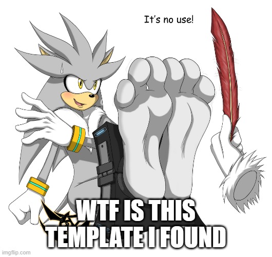 Ticklish Silver | WTF IS THIS TEMPLATE I FOUND | image tagged in ticklish silver | made w/ Imgflip meme maker