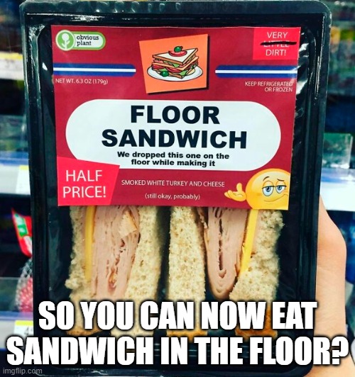So you can now eat sandwich in the Floor? | SO YOU CAN NOW EAT SANDWICH IN THE FLOOR? | image tagged in fake,products,memes | made w/ Imgflip meme maker