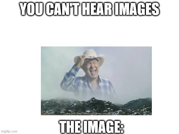 image | YOU CAN'T HEAR IMAGES; THE IMAGE: | image tagged in screaming | made w/ Imgflip meme maker