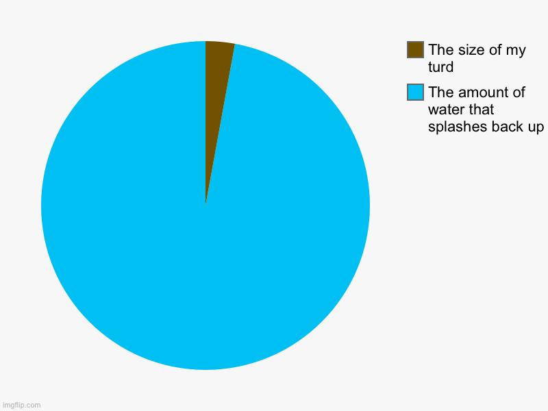 Always the smallest ones. | The amount of water that splashes back up, The size of my turd | image tagged in charts,pie charts,relatable,memes,funny | made w/ Imgflip chart maker