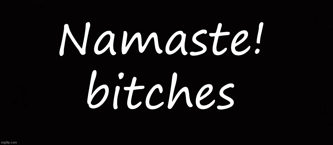Namaste! | Namaste! bitches | image tagged in namaste | made w/ Imgflip meme maker