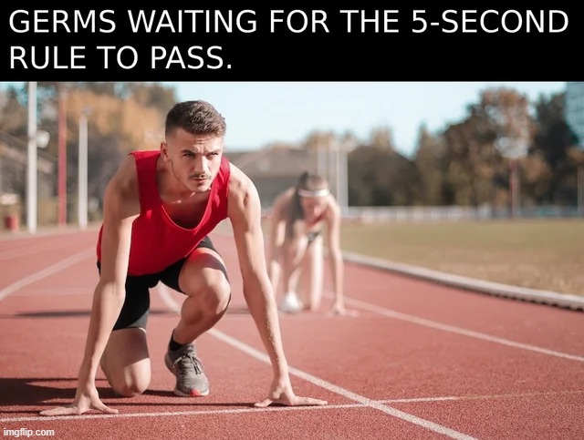 image tagged in memes,funny | made w/ Imgflip meme maker