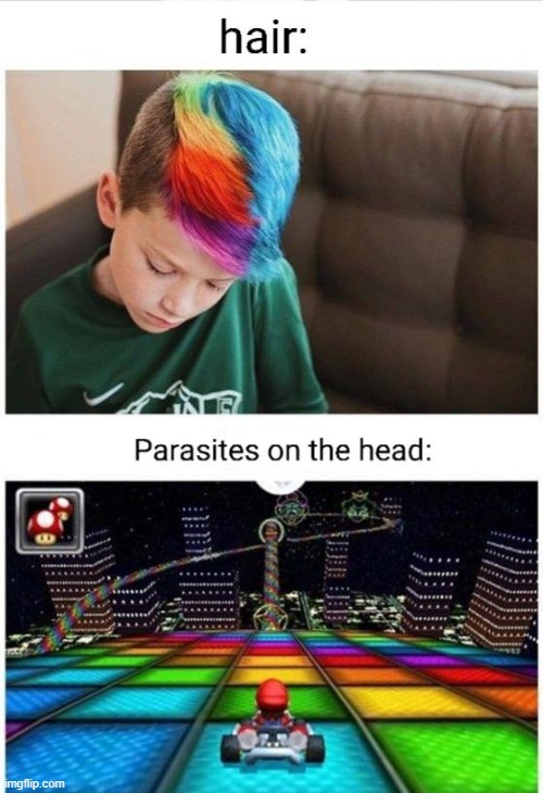 image tagged in memes,funny | made w/ Imgflip meme maker