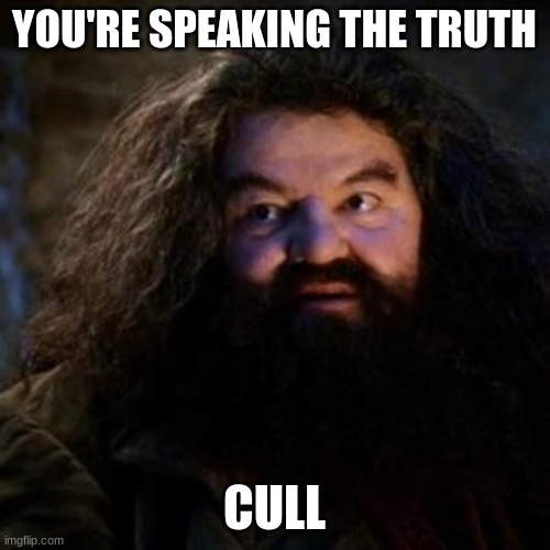 You're a wizard harry | YOU'RE SPEAKING THE TRUTH CULL | image tagged in you're a wizard harry | made w/ Imgflip meme maker