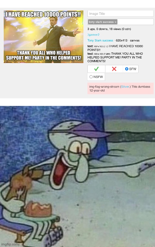 Bruh flagged an image because someone was proud of their points | image tagged in squidward point and laugh | made w/ Imgflip meme maker