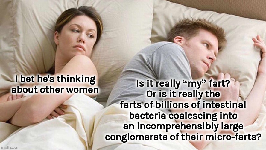 Is it really “my” fart? | Is it really “my” fart?
Or is it really the farts of billions of intestinal bacteria coalescing into an incomprehensibly large conglomerate of their micro-farts? I bet he's thinking about other women | image tagged in memes,i bet he's thinking about other women,farts,gut health,microbiome | made w/ Imgflip meme maker