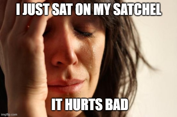 First World Problems | I JUST SAT ON MY SATCHEL; IT HURTS BAD | image tagged in memes,first world problems,twig and berries | made w/ Imgflip meme maker