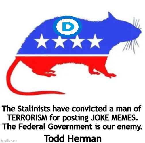 If you don't see it yet, you're probably part of the problem... | The Stalinists have convicted a man of 
TERRORISM for posting JOKE MEMES.

The Federal Government is our enemy. Todd Herman | image tagged in politics,wake up,america in decline,democrats,enemies,government corruption | made w/ Imgflip meme maker