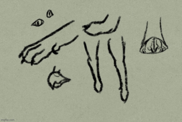 This mornings warmup sketches | made w/ Imgflip meme maker