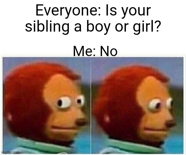This happens everytime I tell anyone I have a sibling upvote if you can relate  you | Everyone: Is your sibling a boy or girl? Me: No | image tagged in memes,monkey puppet | made w/ Imgflip meme maker