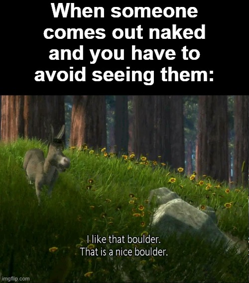 It sure is a nice boulder. | When someone comes out naked and you have to avoid seeing them: | image tagged in shrek donkey i like that boulder that is a nice boulder,memes,naked,boulder,shrek,donkey | made w/ Imgflip meme maker