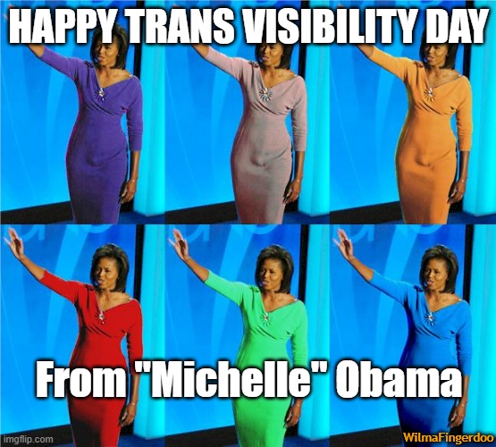 HAPPY TRANS VISIBILITY DAY; From "Michelle" Obama; WilmaFingerdoo | image tagged in michelle obama,transgender | made w/ Imgflip meme maker