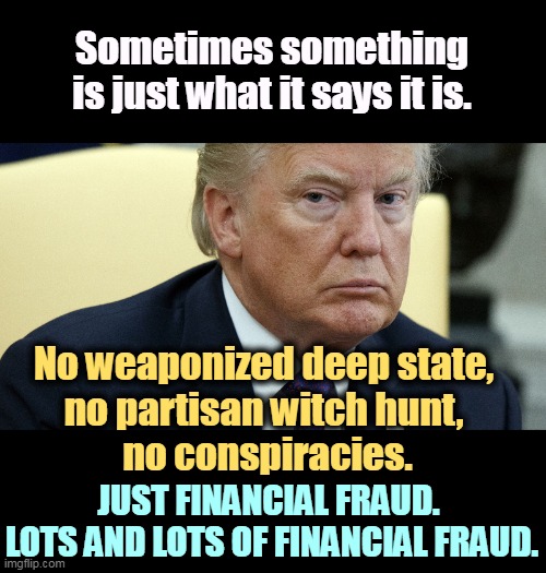 Sometimes something is just what it says it is. No weaponized deep state, 
no partisan witch hunt, 
no conspiracies. JUST FINANCIAL FRAUD. 
LOTS AND LOTS OF FINANCIAL FRAUD. | image tagged in trump,fraud,con man,dishonest donald,criminal | made w/ Imgflip meme maker
