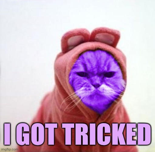 Silly Rabbit | I GOT TRICKED | image tagged in sullen raycat,memes,raycat | made w/ Imgflip meme maker