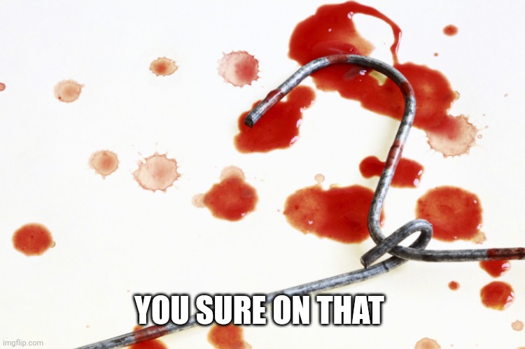bloody coat hanger | YOU SURE ON THAT | image tagged in bloody coat hanger | made w/ Imgflip meme maker
