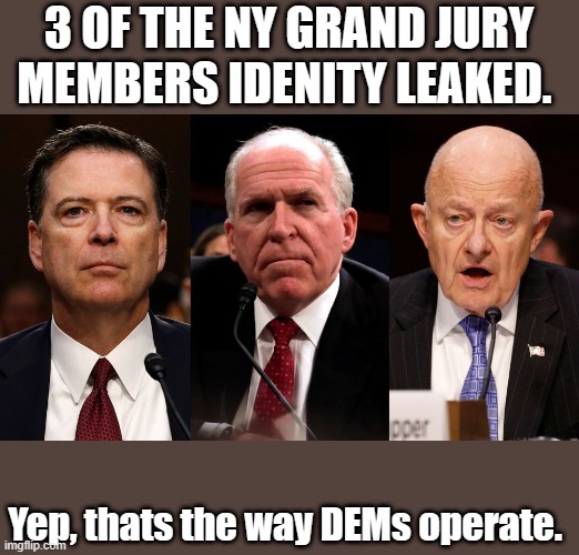 DEMrat stay DEMrat stacked jury | 3 OF THE NY GRAND JURY MEMBERS IDENITY LEAKED. Yep, thats the way DEMs operate. | image tagged in democrats,nwo,traitor | made w/ Imgflip meme maker