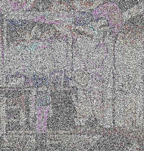 There, i nuked owl housz | made w/ Imgflip meme maker