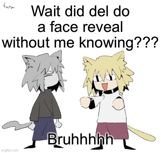 Neco arc and chaos neco arc | Wait did del do a face reveal without me knowing??? Bruhhhhh | image tagged in neco arc and chaos neco arc | made w/ Imgflip meme maker