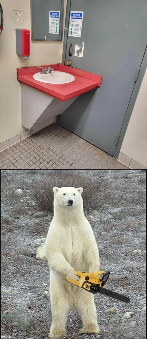 Sink and door together | image tagged in chainsaw polar bear,repost,reposts,memes,door,sink | made w/ Imgflip meme maker