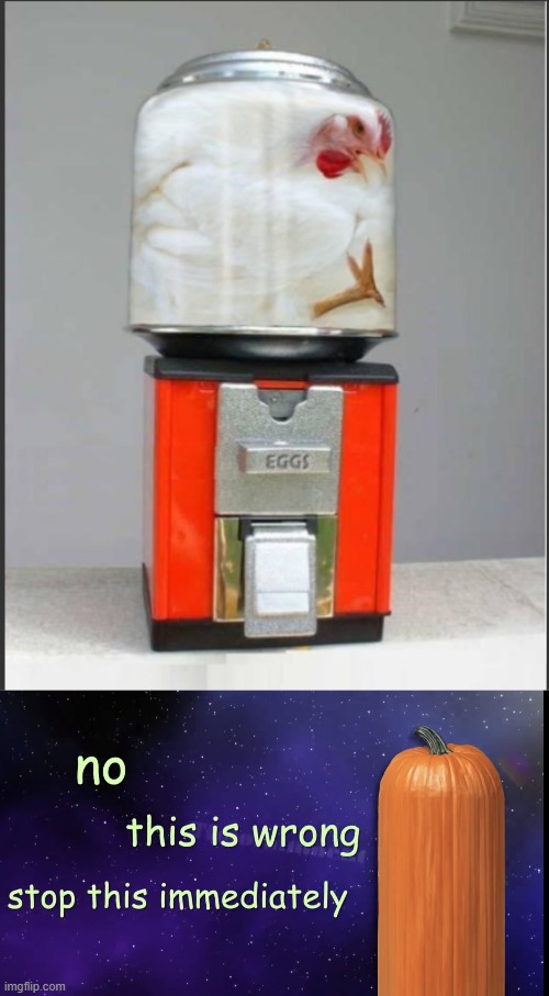 chicken bubblegum dispenser | image tagged in pumpkin facts,chicken | made w/ Imgflip meme maker
