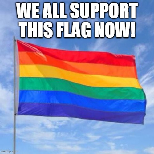The flag that MSMG now loves the most! | WE ALL SUPPORT THIS FLAG NOW! | image tagged in satire,jk,april fools | made w/ Imgflip meme maker