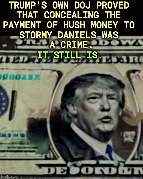 It was a serious crime then. It's a serious crime now. | TRUMP'S OWN DOJ PROVED 
THAT CONCEALING THE 
PAYMENT OF HUSH MONEY TO 
STORMY DANIELS WAS 
A CRIME. IT STILL IS. | image tagged in donald trump,hush money,stormy daniels,crime | made w/ Imgflip meme maker