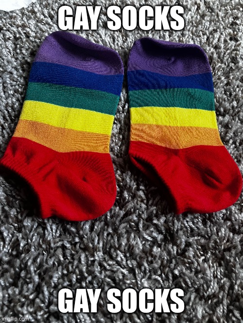 They are bigger than they look in the photo | GAY SOCKS; GAY SOCKS | image tagged in gay | made w/ Imgflip meme maker