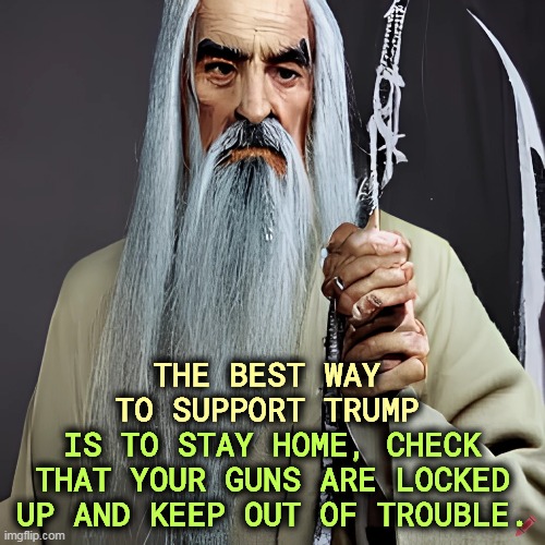 THE BEST WAY TO SUPPORT TRUMP; IS TO STAY HOME, CHECK THAT YOUR GUNS ARE LOCKED UP AND KEEP OUT OF TROUBLE. | image tagged in saruman,trump,lock,guns,avoid,trouble | made w/ Imgflip meme maker