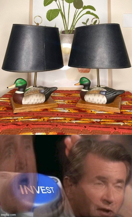 I Gotta get those Lamps! | image tagged in invest,ducks,memes,funny | made w/ Imgflip meme maker