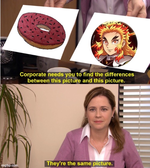 They're The Same Picture | image tagged in memes,they're the same picture | made w/ Imgflip meme maker