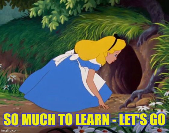 Research is great | SO MUCH TO LEARN - LET'S GO | image tagged in alice in wonderland rabbit hole,autism,research,disability | made w/ Imgflip meme maker