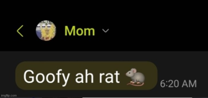 there is no way my mom just said goofy ahh | made w/ Imgflip meme maker