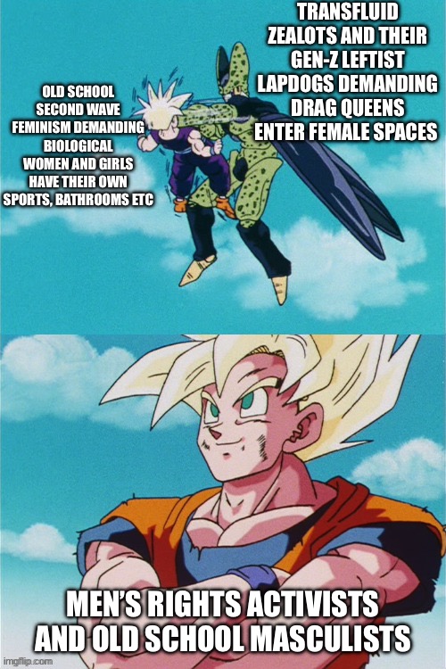 gohan vs cell fight | TRANSFLUID ZEALOTS AND THEIR GEN-Z LEFTIST LAPDOGS DEMANDING DRAG QUEENS ENTER FEMALE SPACES; OLD SCHOOL SECOND WAVE FEMINISM DEMANDING BIOLOGICAL WOMEN AND GIRLS HAVE THEIR OWN SPORTS, BATHROOMS ETC; MEN’S RIGHTS ACTIVISTS AND OLD SCHOOL MASCULISTS | image tagged in gohan vs cell fight | made w/ Imgflip meme maker