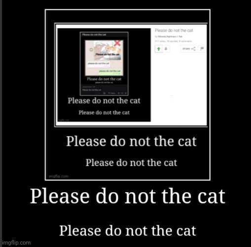 Please do not the cat | image tagged in please do not the cat | made w/ Imgflip meme maker