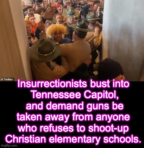 [warning: contains turn-it-on-its-ears satire] | Insurrectionists bust into
 Tennessee Capitol,
 and demand guns be taken away from anyone who refuses to shoot-up Christian elementary schools. | image tagged in insanity,insane,crazy,bats,psycho | made w/ Imgflip meme maker