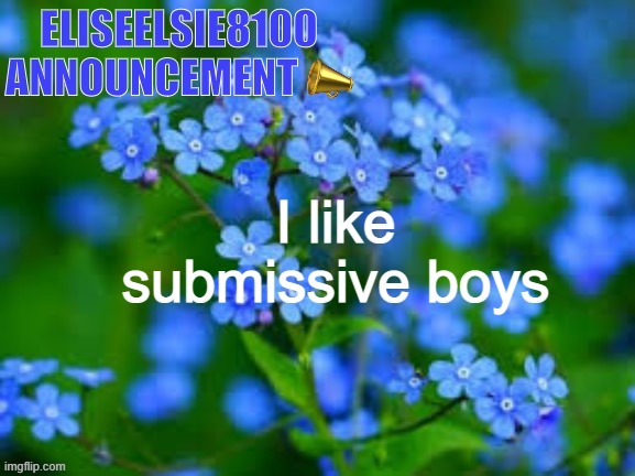 EliseElsie8100 Announcement | I like submissive boys | image tagged in eliseelsie8100 announcement | made w/ Imgflip meme maker
