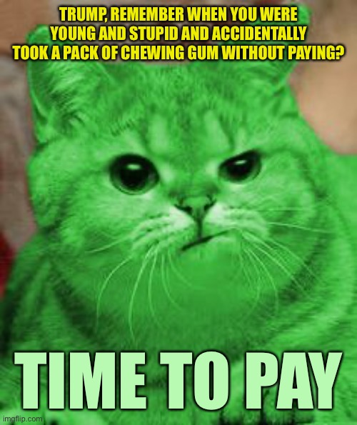 RayCat Annoyed | TRUMP, REMEMBER WHEN YOU WERE YOUNG AND STUPID AND ACCIDENTALLY TOOK A PACK OF CHEWING GUM WITHOUT PAYING? TIME TO PAY | image tagged in raycat annoyed,memes,donald trump,raycat | made w/ Imgflip meme maker