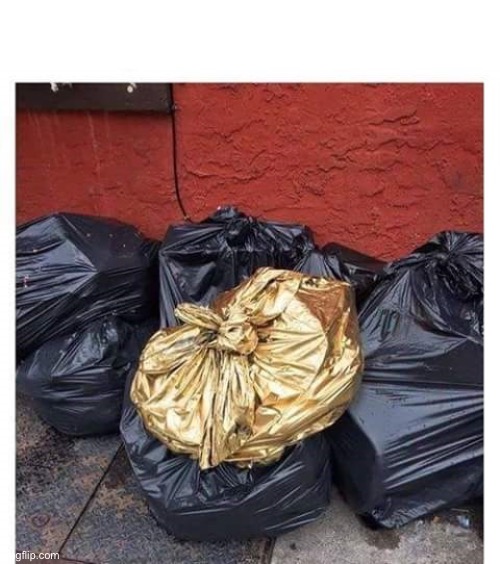 Trash | image tagged in trash | made w/ Imgflip meme maker