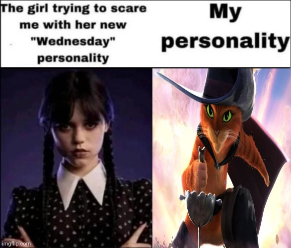 Puss in Boots | image tagged in the girl trying to scare me with her new wednesday personality,puss in boots,memes,meme,character,cat | made w/ Imgflip meme maker