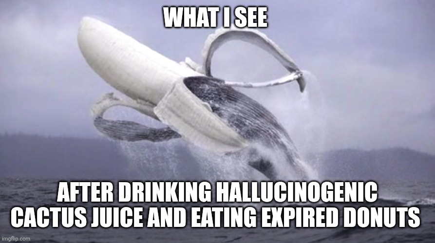 Cactus juice plus expired donuts equals banana whale | WHAT I SEE; AFTER DRINKING HALLUCINOGENIC CACTUS JUICE AND EATING EXPIRED DONUTS | image tagged in banana whale | made w/ Imgflip meme maker