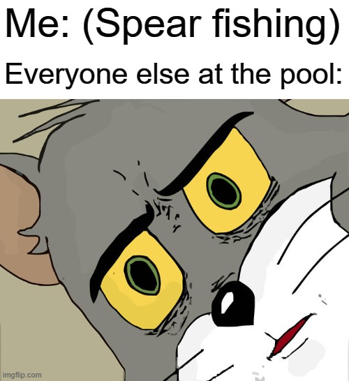 Unsettled Tom Meme | Me: (Spear fishing); Everyone else at the pool: | image tagged in memes,unsettled tom,spear,fishing,swimming pool | made w/ Imgflip meme maker