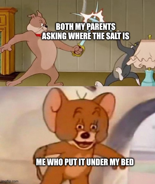 Bruh | BOTH MY PARENTS ASKING WHERE THE SALT IS; ME WHO PUT IT UNDER MY BED | image tagged in tom and jerry swordfight,bruh moment,certified bruh moment,bruhh,bruh | made w/ Imgflip meme maker