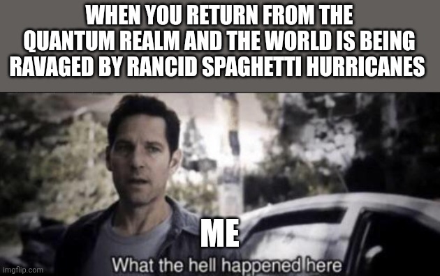 What is this? Rip off cloudy with a chance of meatballs??? | WHEN YOU RETURN FROM THE QUANTUM REALM AND THE WORLD IS BEING RAVAGED BY RANCID SPAGHETTI HURRICANES; ME | image tagged in what the hell happened here | made w/ Imgflip meme maker