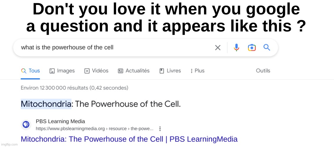 It's so good | Don't you love it when you google a question and it appears like this ? | image tagged in memes,funny,relatable,google,fun,front page plz | made w/ Imgflip meme maker