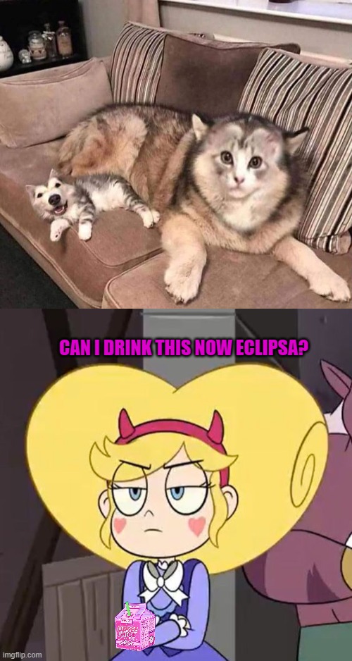 CAN I DRINK THIS NOW ECLIPSA? | image tagged in star butterfly,star vs the forces of evil,cursed image,memes,unsee juice | made w/ Imgflip meme maker