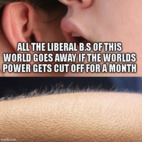 Whisper and Goosebumps | ALL THE LIBERAL B.S OF THIS WORLD GOES AWAY IF THE WORLDS POWER GETS CUT OFF FOR A MONTH | image tagged in whisper and goosebumps | made w/ Imgflip meme maker